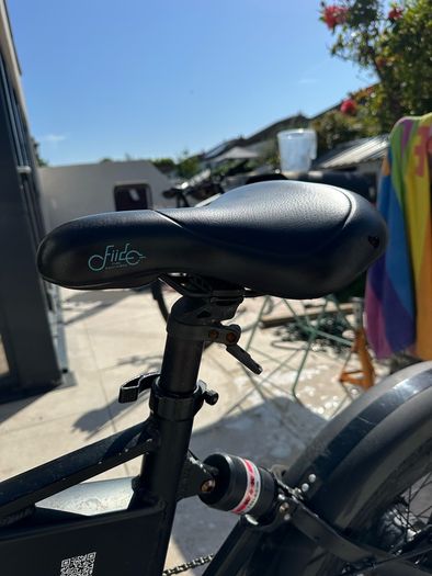 Fiido M1 Pro Electric Bike