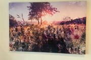Large canvas picture
