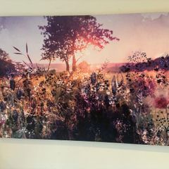 Large canvas picture