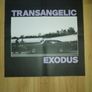 Ezra Furman - Transangelic exodus (Ltd edition lavender vinyl) Image 2