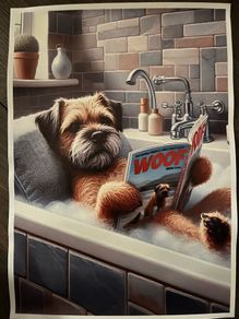 bathroom print 31x22cm border terrier