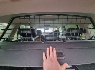 Travall Dog Guard for Skoda Superb Estate (2008-2015)
