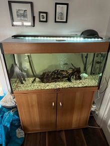 fish tank