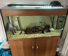 fish tank