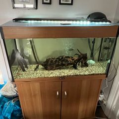fish tank