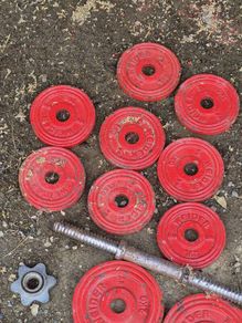 gym weights