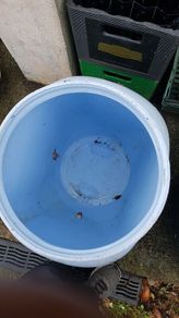 feeding bin