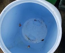 feeding bin