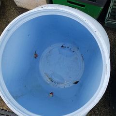 feeding bin free