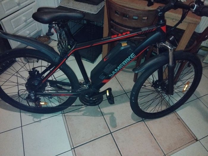 Electric bike