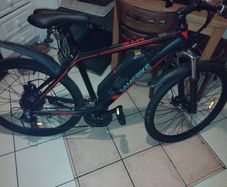 Electric bike