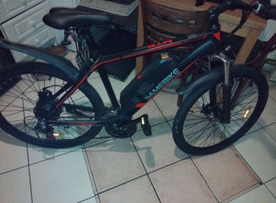 Electric bike