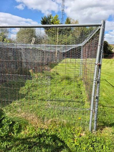 Chicken run,rabbit run