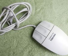 Toshiba 2-Button Ball Mouse Model M-S35