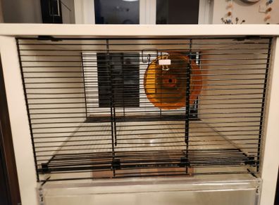 Gerbil home with cage and bedding area;  carrying cage also included