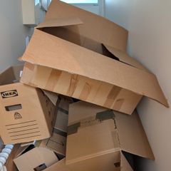 Moving boxes x 8