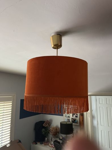 Gorgeous Velvet Burnt Orange Lampshade