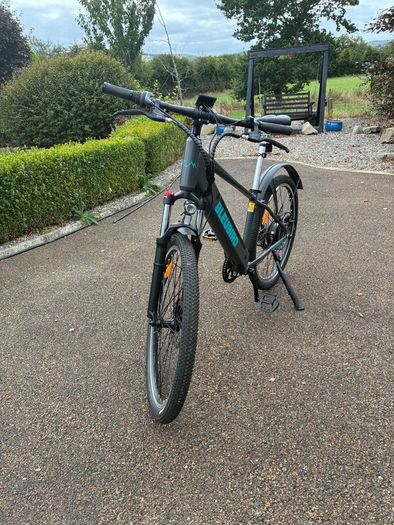 Electric bike