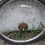 two bicycle wheels Image 5