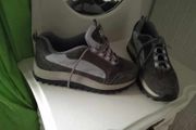 Raid Trainers