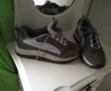 Raid Trainers