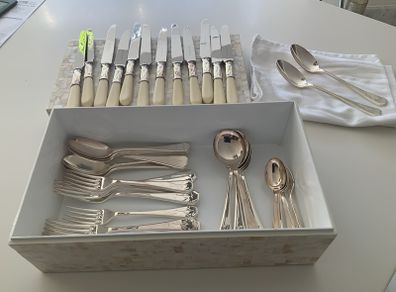 Paul Costello and Newbridge 44 pce cutlery set
