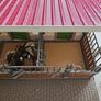 Schleich stable set (42344) Image 6