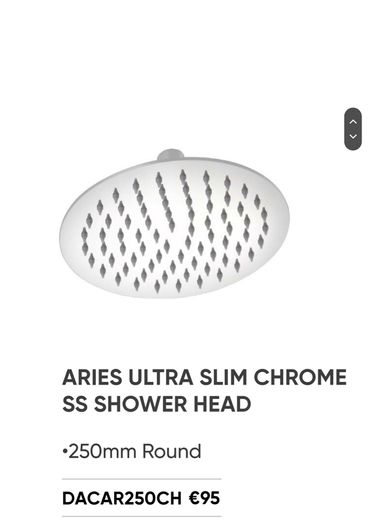 Stainless steel shower head