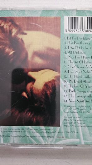 Kenny Loggins - The Unimaginable Life.