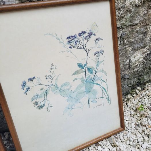 Vintage set of four botanical watercolour prints in oak frames