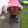 chicco Image 3