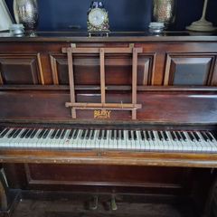 Piano and storage seat
