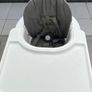 Stokke Steps High Chair Image 3
