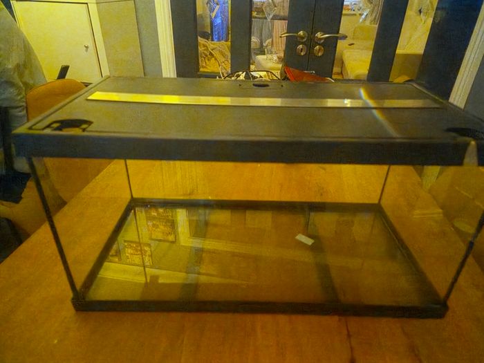 fish tank
