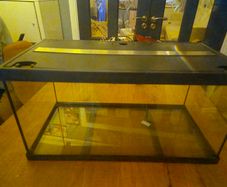 fish tank