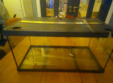 fish tank