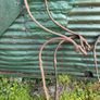 Set of 4 old trap springs Image 2