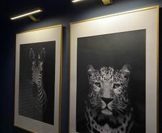 2 x Black & White Wall Art plus Picture Lights