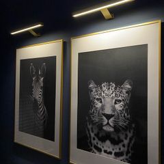 2 x Black & White Wall Art plus Picture Lights