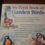 My first Book of Garden Birds Image 4