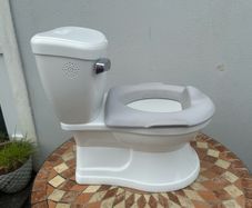 Summer training potty