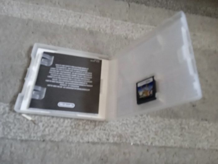 Nintendo