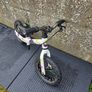 Frog Tapdole Balance Bike 12" wheels White with spots Image 5