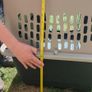 pet carrier Image 10