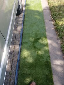 grass