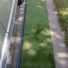grass