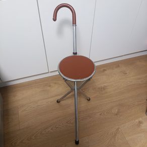 Vintage Tirion Folding Chair Walking Stick with Tripod Legs