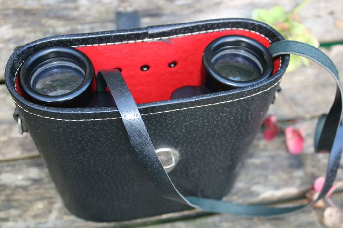 Vintage Cavalier Binoculars Coated Optics Wide Angle Field Glasses Made In Japan 7 x 35