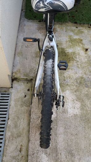 Apollo Teen Bike