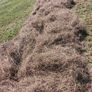 Round Hay Bales Image 4